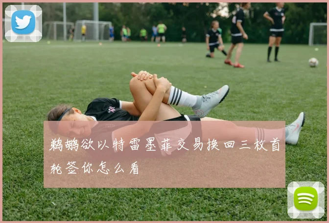 鹈鹕欲以特雷墨菲交易换回三枚首轮签你怎么看