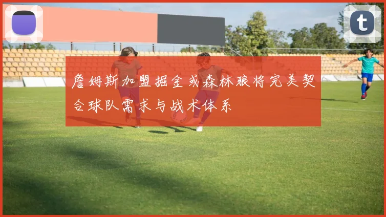 詹姆斯加盟掘金或森林狼将完美契合球队需求与战术体系